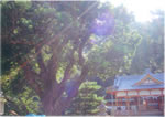 勝浦八幡神社